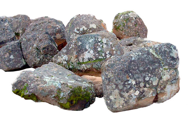 Moss Rocks – Various Sizes –